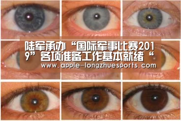 龙珠体育