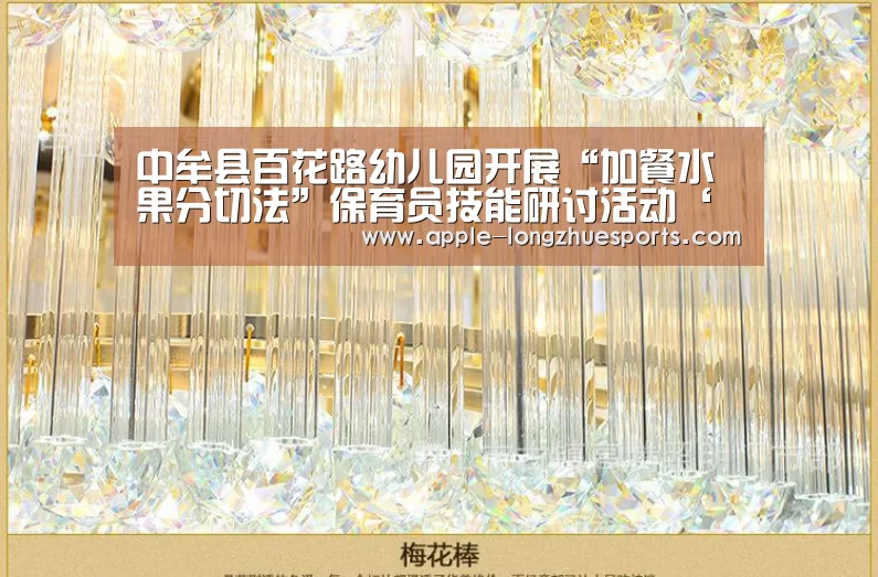 龙珠体育
