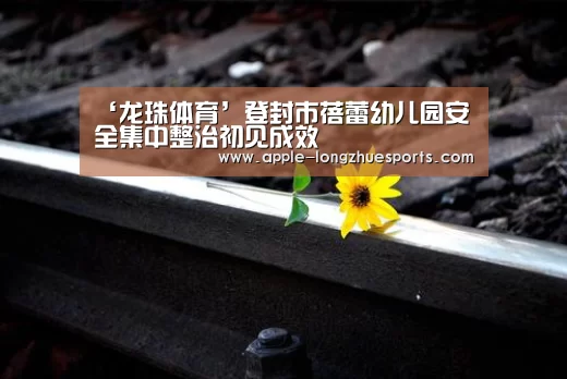 龙珠体育