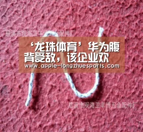 ‘龙珠体育’华为腹背受敌，该企业欢欣鼓舞，趁虚而入