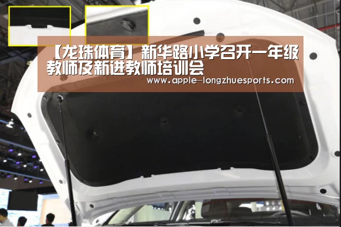 【龙珠体育】新华路小学召开一年级教师及新进教师培训会
