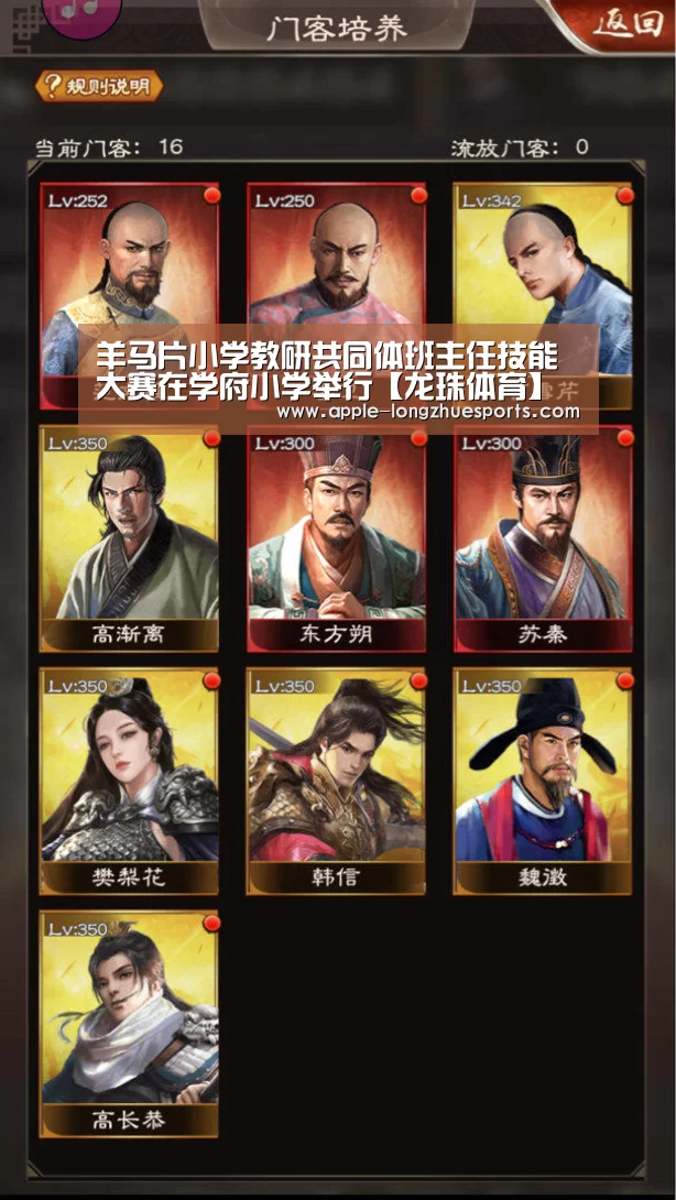 龙珠体育