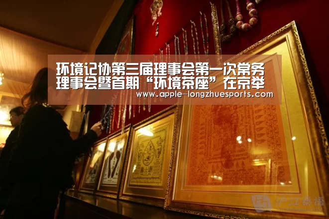 龙珠体育