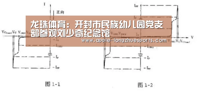 龙珠体育