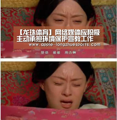 龙珠体育