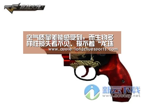 龙珠体育