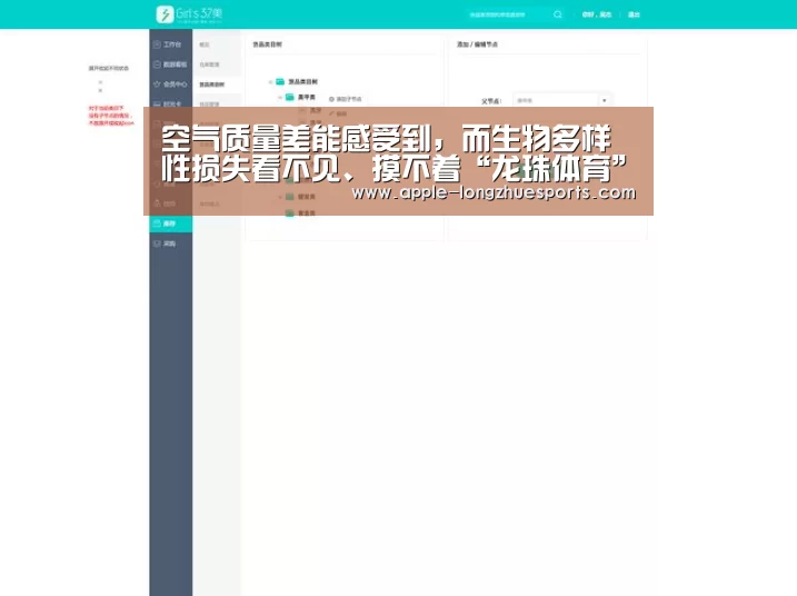 龙珠体育