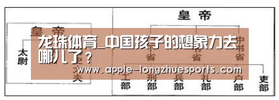 龙珠体育