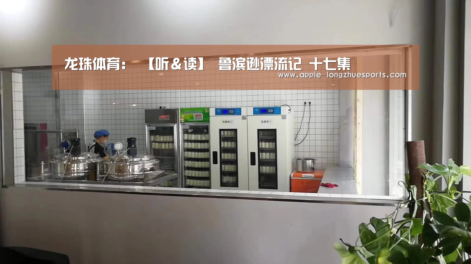 龙珠体育