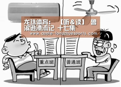 龙珠体育