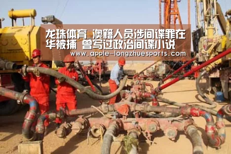 龙珠体育