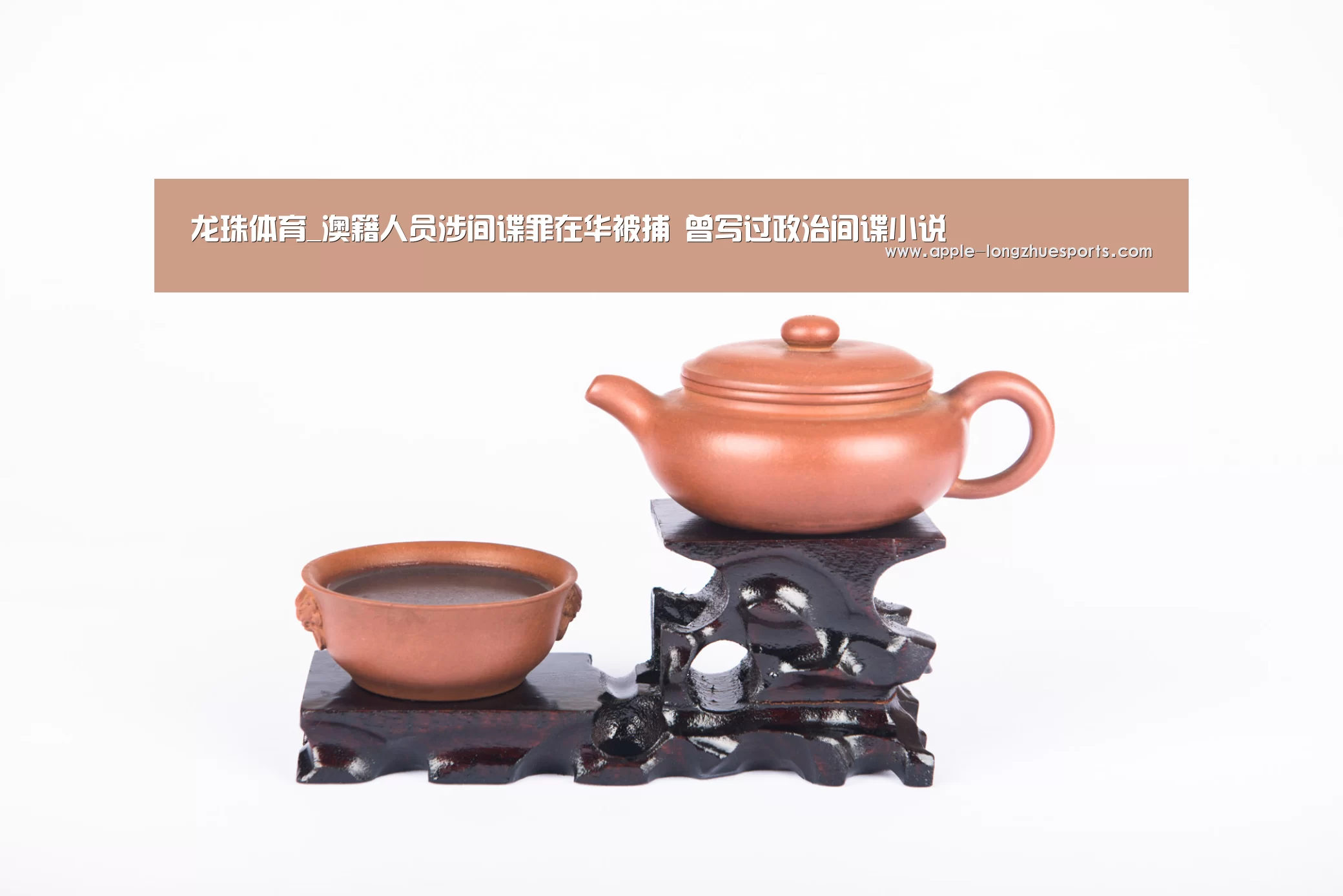 龙珠体育