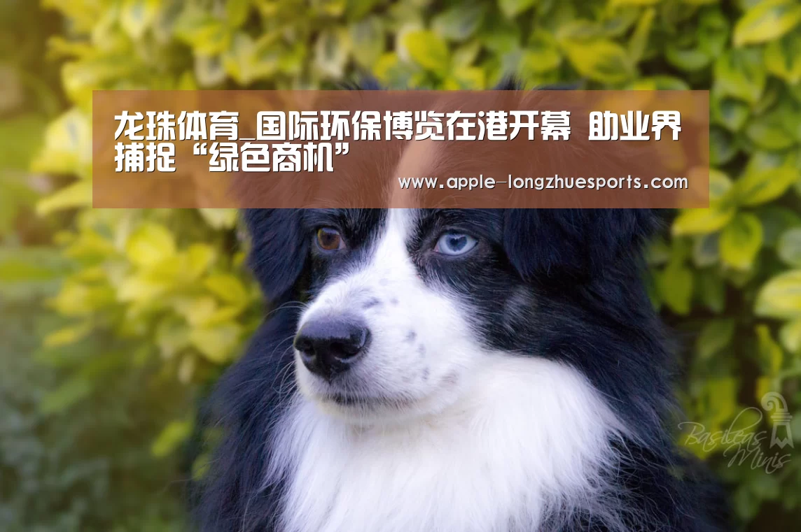 龙珠体育_国际环保博览在港开幕 助业界捕捉“绿色商机”(图1) 龙珠体育